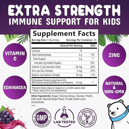Kids Immune Support Gummy - Vitamin C, Zinc & Echinacea, Daily Children's Immune Support Gummies for Kids Ages 4 and Up, Nature's Vitamins for Kids, Vegan & Non-GMO, Natural Berry Flavor - 90 Gummies