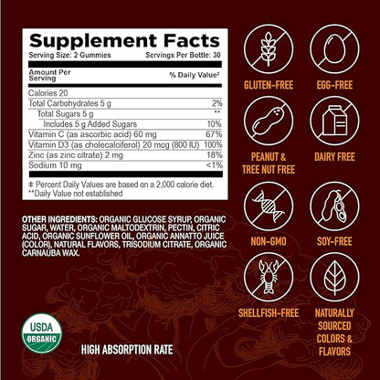 Strong Earth - Organic Immune Health Gummies with Vitamin C, Vitamin D3 Plus Zinc - Adult Immune System Boost Zinc, Vitamin C, Vitamin D Gummies - Gummy Multivitamin Immune Support Supplement (60)