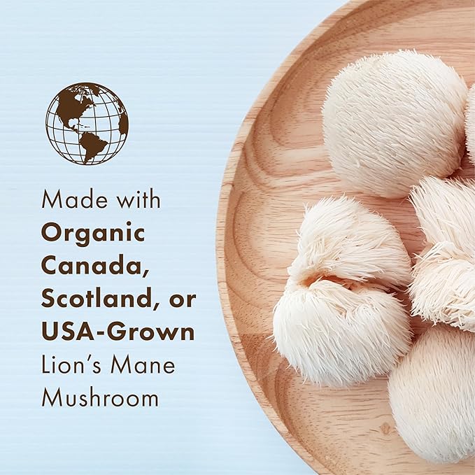 PURE ESSENCE LABS MyPure Lion's Mane 4X - Ultra Strength Brain Support Supplement with 6:1 Hot Water Extract & 10:1 Extract for Cognitive Health, Focus, Memory & Mental Clarity, 60 Capsules