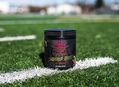 Scorched Earth Pre Workout Powder - Energy & Focus with Dual-Source Caffeine, Nootropics | Pumps from Citrulline, Beta Alanine, Nitrosigine®, GlycerPump™ (Tropical Punch)