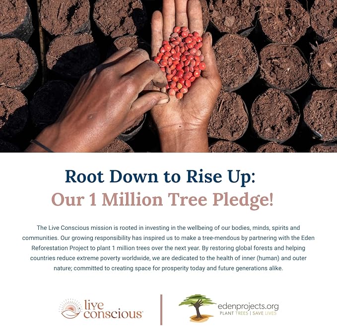 LiverWell Liver Cleanse, Rejuvenation, Metabolic Support - Liver Supplement for Liver Health w/Highly Bioavailable Milk Thistle Extract, N-Acetyl Cysteine, Alpha Lipoic Acid, Zinc, Selenium - 60 Caps