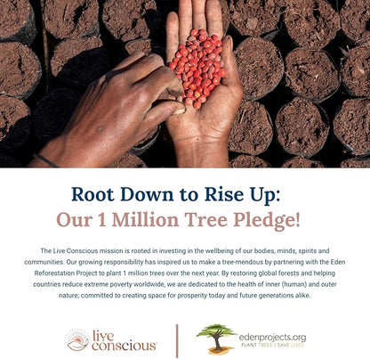 LiverWell Liver Cleanse, Rejuvenation, Metabolic Support - Liver Supplement for Liver Health w/Highly Bioavailable Milk Thistle Extract, N-Acetyl Cysteine, Alpha Lipoic Acid, Zinc, Selenium - 60 Caps