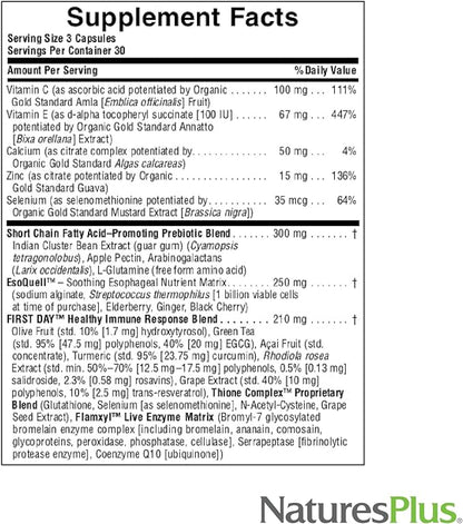 Natures Plus AgeLoss Digestion Support - 90 Capsules - Prebiotics, Live Enzymes & 150 mg L-Glutamine - Gluten Free - 30 Servings