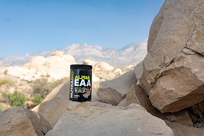 NutraBio Alpha EAA - All-Day Aminos - Recovery, Energy, Focus, and Hydration Supplement - Full Spectrum EAA BCAA Matrix, Electrolytes, Nootropics, Coconut Water - 30 Servings - Dragon Fruit