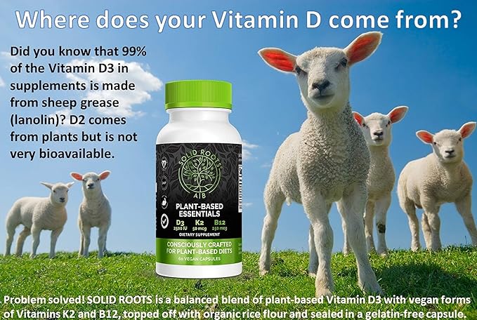 SOLID ROOTS Vegan Vitamin D3 + K2 +B12 for Bones, Heart, Skin, Teeth Plant-Based Multivitamin Essentials