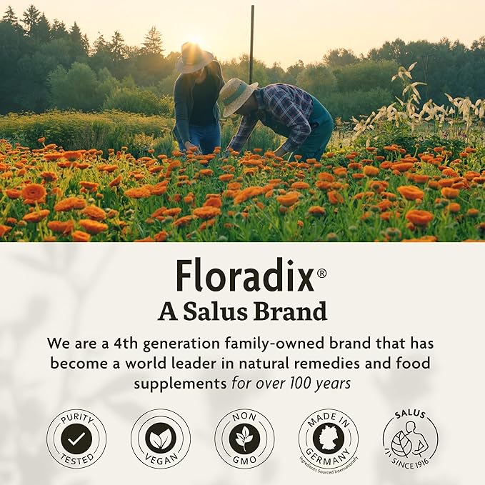 Floradix by Salus Iron Tablets - Energy Support Supplement for Men & Women - Natural Iron Supplement with B Vitamins & Vitamin C - Non-GMO, Vegetarian & Lactose-Free - 80 Tablets