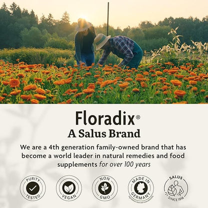 Floradix by Salus Iron Tablets - Energy Support Supplement for Men & Women - Natural Iron Supplement with B Vitamins & Vitamin C - Non-GMO, Vegetarian & Lactose-Free - 80 Tablets