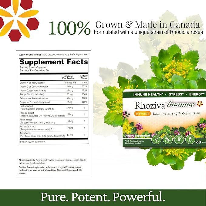 Immune Support, Energy Booster with Vitamin C, D3 and Zinc Supplement, Rhodiola Rosea, Reishi Mushroom Extract, Astragalus, Overall Wellness and Daily Habit - 60 Capsules