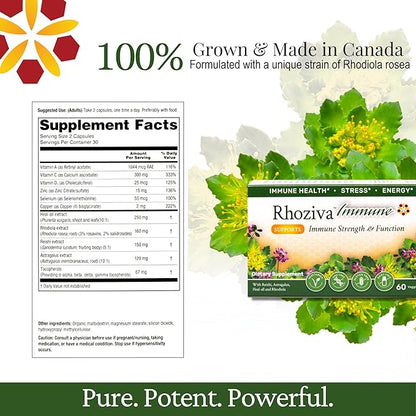 Immune Support, Energy Booster with Vitamin C, D3 and Zinc Supplement, Rhodiola Rosea, Reishi Mushroom Extract, Astragalus, Overall Wellness and Daily Habit - 60 Capsules