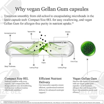 HCF A20 Microbead Brain Supplements for Memory and Focus + Brain Support, Calm, Mood, Alertness, Attention, Vision, Sleep, Immune System, 20 Premium Nootropic Nutrients Multivitamin & 7 Advances® Tech