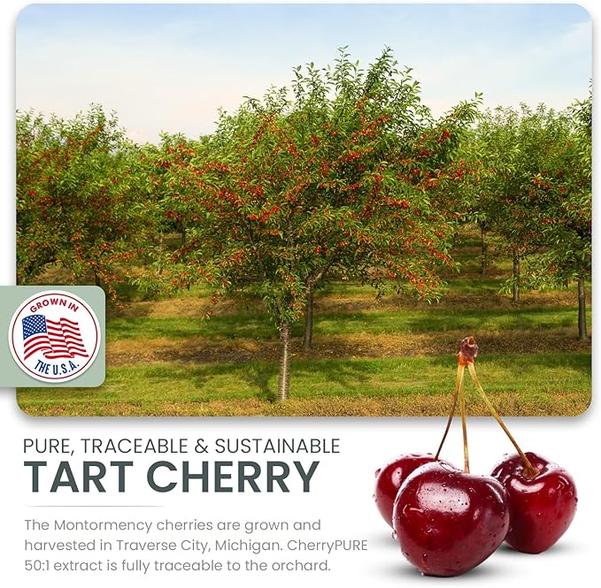 German Micronized Creatine + USA Tart Cherry + Vitamin B6 - Pre and Post Workout Supplement for Women & Men, Tart Cherry Lime Flavor, Caffeine-Free Nourishment for Body and Brain