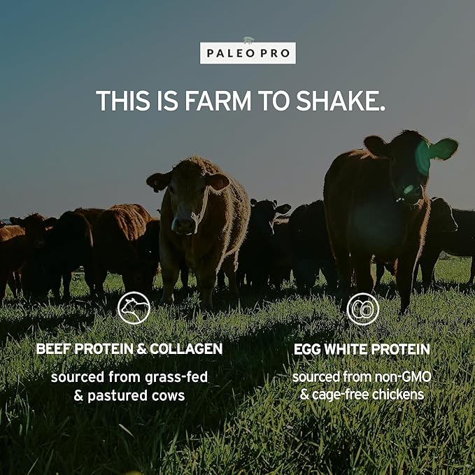 PaleoPro Protein Powder, Gluten Free, Dairy Free, Whey Free, Soy Free, No Added Hormones, Pastured Grass-fed Beef, Minimally Processed Paleo Ingredients, 1lb/454g, About 15 Servings, Mayan Mocha