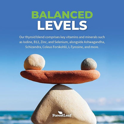 Thyroid Support for Women and Men with Iodine - Energy, Focus & Power Thyroid Supplement - All Natural Herbal Mineral and Vitamin Complex with B12, Zinc, Selenium, Ashwagandha - 60 Vegetarian Capsules