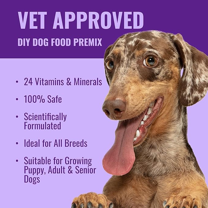 Dog Vitamins Supplements Raw and Homemade Dog Food Multivitamins Minerals Powder 1lb Veggie Flavor