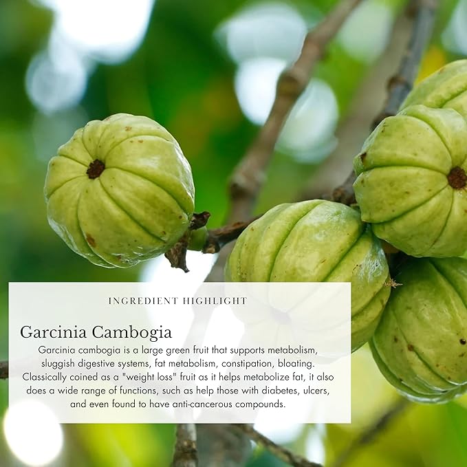 Anima Mundi Belly Love Powder - Supplement for Bloating Relief - Digestive Aid Powder Supplement with Cranberry Juice Extract and Ginger - De-Bloat Powder for Women (4.5oz / 128g)