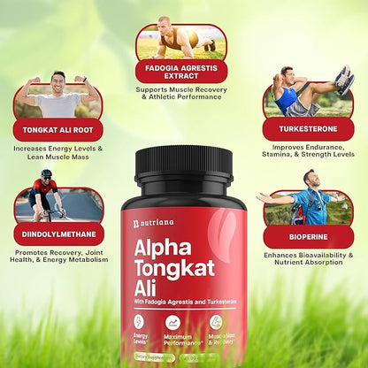 Longjack Tongkat Ali Fadogia Agrestis Complex - and Turkesterone Energy Booster for Men - Tongkat Ali 600mg - 90 Capsules
