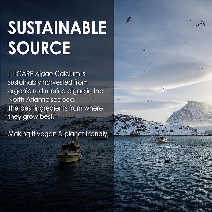 Plant Based Calcium Supplement 600mg with Vitamin D3 K2, Zinc for Bone Strength, Sustainably Sourced Algae Calcium Magnesium 2:1 Ratio, Sugar Free Calcium Gummies 70+ Trace Minerals, Vegan, 60 Counts