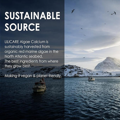 Plant Based Calcium Supplement 600mg with Vitamin D3 K2, Zinc for Bone Strength, Sustainably Sourced Algae Calcium Magnesium 2:1 Ratio, Sugar Free Calcium Gummies 70+ Trace Minerals, Vegan, 60 Counts