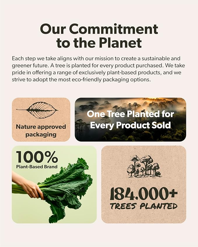 Plant Meal Replacement Shake - Vanilla - 25g of Plant Based Vegan Protein Powder, 76+ Organic Superfoods, Vitamins & Minerals, Mushrooms, Super Greens, Digestive Enzymes & Probiotics - 1 Serving