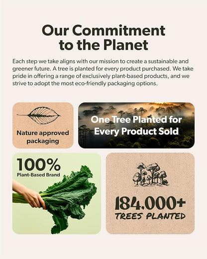 Plant Meal Replacement Shake - Vanilla - 25g of Plant Based Vegan Protein Powder, 76+ Organic Superfoods, Vitamins & Minerals, Mushrooms, Super Greens, Digestive Enzymes & Probiotics - 1 Serving