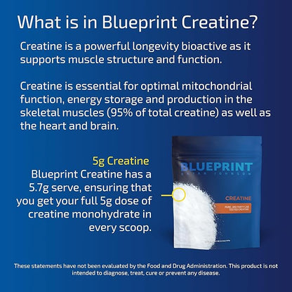 Blueprint by Bryan Johnson - Creatine