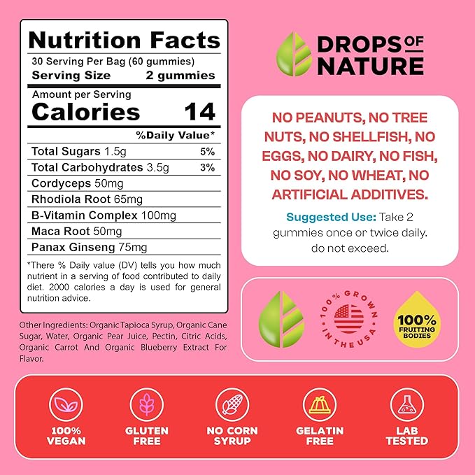 Mushroom Supplement Power Surge Gummies - Lions Mane, Maca Root, Panax Ginseng, Vitamin B12 & Rhodiola - Vegan, Vitamin B Complex - Mushroom Gummies for Energy and Wellness (Mixed Fruits, 60 Gummies)