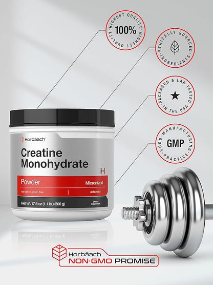Horbäach Creatine Monohydrate Powder | 1.1lb (17.6 oz) | Micronized and Unflavored | Vegetarian, Non-GMO, and Gluten Free Supplement