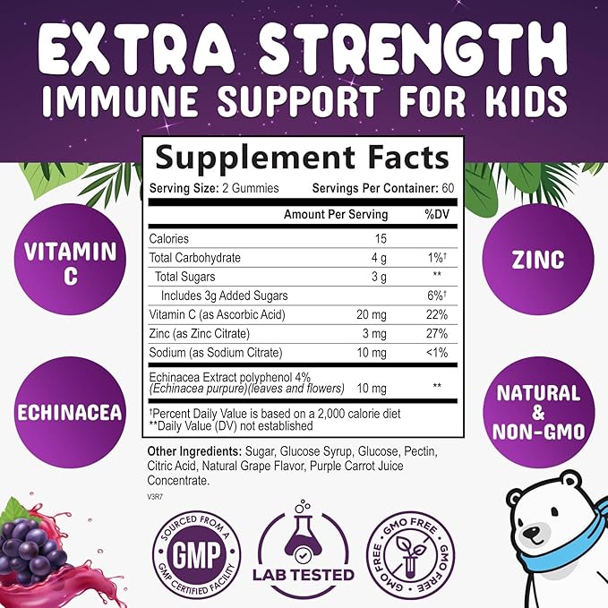 Kids Immune Support Gummy - Vitamin C, Zinc & Echinacea, Daily Children's Immune Support Gummies for Kids Ages 4 and Up, Nature's Vitamins for Kids, Vegan & Non-GMO, Natural Berry Flavor - 120 Gummies