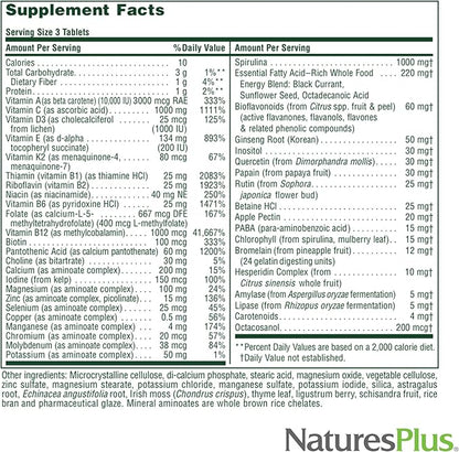 Natures Plus Source of Life No Iron - 180 Tablets, Pack of 2 - Multi-Vitamin & Mineral Supplement - Supports Natural Energy & Overall Well-Being - Gluten Free, Vegetarian - 120 Total Servings