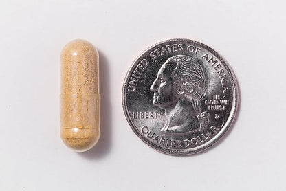 ProCare Health Probiotic Bariatric Multivitamin with Iron 45mg (60 Count) - 15 Billion CFU Bariatric Probiotic Fast Dissolving Veggie Capsules to Support Gut and Immune Health in Bariatric Patients