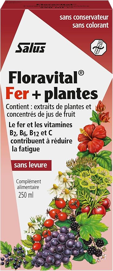 Floradix Floravital Liquid Iron & Vitamins Formula - Liquid Iron Supplement with B Complex Vitamins, Vitamin C & Herbs for Energy Support - Vegan, Gluten-Free, Yeast- Free, Non-GMO - 23 fl oz