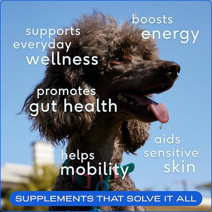 Dog Vitamins and Supplements - 11 in 1 Multivitamin for Dogs with 21 Dog Supplements & Vitamins – Nutritious Dog Food Toppers - Dog Multivitamin Powder - Native Pet The Daily - 30 Scoops
