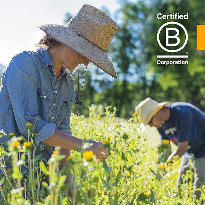 Herb Pharm Black Walnut Liquid Extract for Cleansing and Detoxifying - 4 Ounce