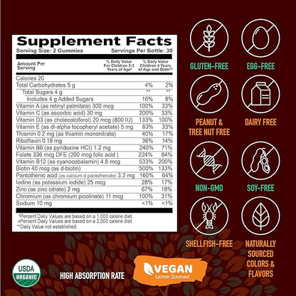 Strong Earth- Organic Multivitamin Gummies for Kids- Gummy Vitamins & Minerals Including Vitamin A, C, D3, E, B6 & Zinc - Chewable Multi Vitamin Gummies with Immune Support for Boys and Girls (60)