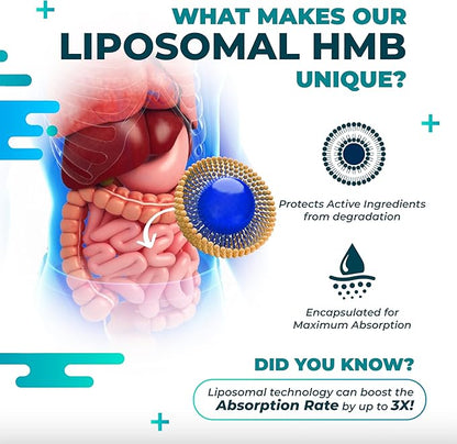 Liposomal HMB 3000mg with Vitamin D3, K2 - Support Muscle Mass, Recovery, Bone Health - Made and Tested in The USA