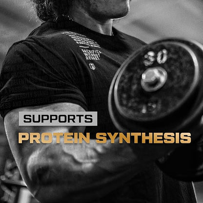 HOSSTILE Glutamine, Fermented L Glutamine Powder for Men & Women, Enhance Muscle Recovery, Support Protein Synthesis, Post Workout Recovery Drink, Unflavored, 60 Servings