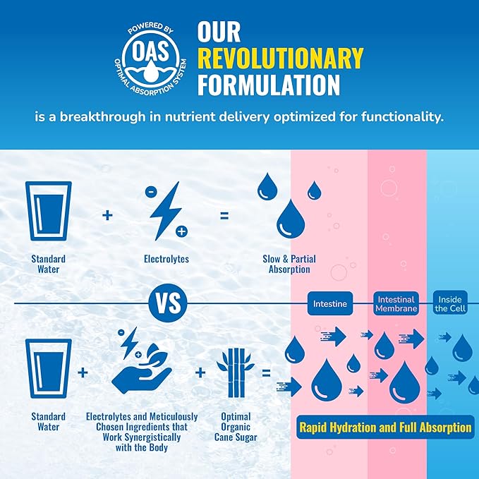 Energy + Hydration Amplifier - Multivitamin Electrolyte Powder Packets with Vitamins D3 K2 & B6 B12 | L-Theanine, Cane Sugar, Caffeine Free Energy Drink Powder | Variety Pack, 15 Pack