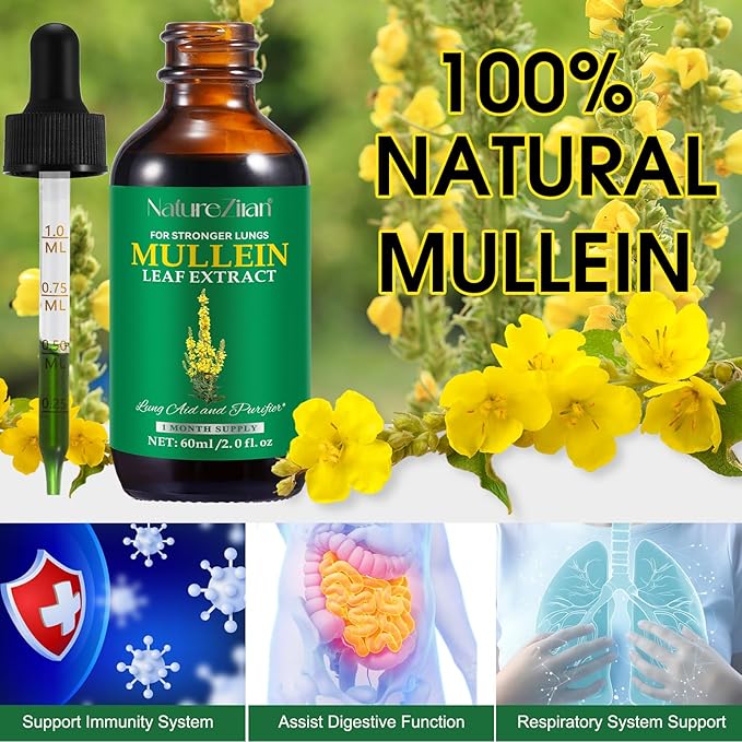 Mullein Drops for Lungs - Mullein Leaf Extract for Lungs - Mullein Leaf Extract - Lung Detox for Smokers-Mullins Detox Lungs for Lung Cleanse, Respiratory - 2 fl oz
