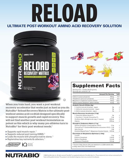 NutraBio Reload - Powerful Muscular Recovery Formula - Post-Workout Supplement - 3G Creatine - 8G BCAAs - 5G Glutamine - 30 Servings, Orange Mango