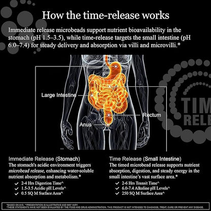 HCF A20 Microbead Brain Supplements for Memory and Focus + Brain Support, Calm, Mood, Alertness, Attention, Vision, Sleep, Immune System, 20 Premium Nootropic Nutrients Multivitamin & 7 Advances® Tech
