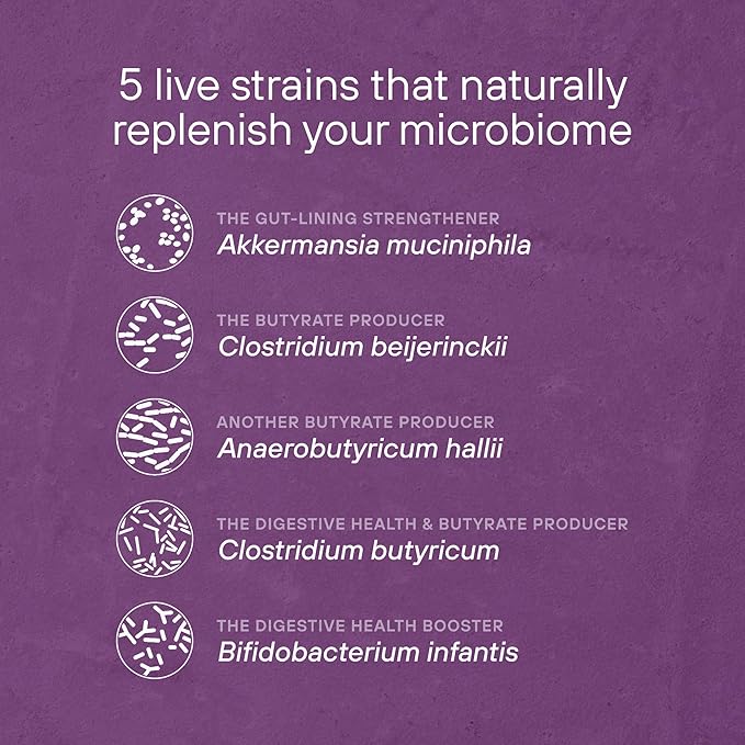 Pendulum Metabolic Daily - Multi-Strain Probiotic with Akkermansia Muciniphila to Support Metabolism and Sustain Energy Levels - for Women and Men - 90 Capsules (1 Pack)