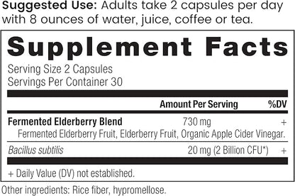 Elderberry and Probiotics Supplement by Ancient Nutrition, Ancient Herbals Black Elderberry Capsules, Immune System Support, Whole Food Supplement, Gluten Free, Paleo and Keto Friendly, 60 Capsules