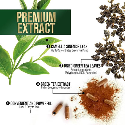Green Tea Extract Capsules 1000mg 98% Standardized EGCG - 3X Strength for Natural Energy - Heart Support with Polyphenols - Gentle Caffeine - 60 Capsules