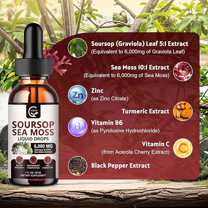 (2 Pack) Soursop Graviola Liquid Drop, Soursop Multivitamin Liquid with Sea Moss & Turmeric, 98% Absorption Soursop Bitters Liquid for Cell Support & Regeneration, Immune Boost and Liver, 1 Fl Oz