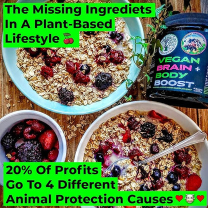 Vegan Brain & Body Boost: The Cherry On Top of A Plant-Based Lifestyle | Working Intelligence | Anti-Aging | Physical Fitness | Vegan Amino Acids - Creatine, Taurine & Beta Alanine | 40 Servings/300g