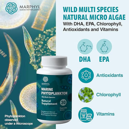 MARPHYL Marine Phytoplankton Wild Multi Species Natural Supplement - 150 mg per Capsule - Organic - 30 Vegan Capsules - from Vancouver Island, Canada