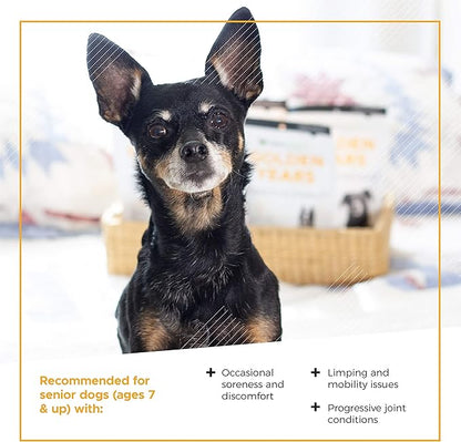 VetriScience Golden Years Strength and Stability Hip and Joint Chews for Senior Dogs, Chicken, 60 Chews - Limping, Mobility, Running and Jumping Support for Senior Dogs