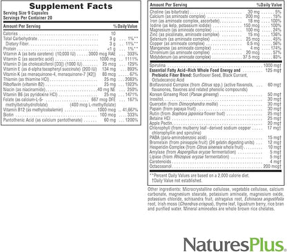 Natures Plus Source of Life - 180 Capsules - Multivitamin & Mineral Supplement - Supports Natural Energy & Overall Well-Being - Gluten Free, Vegetarian - 60 Servings