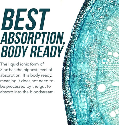 Ionic Liquid Zinc - 8 Month Supply, Adjustable Doses for Entire Family - Zinc Sulfate Form, Vegan, Glass Bottle - Immunity, Brain, Thyroid Support - Best Absorption of Zinc Supplements (2 oz.)