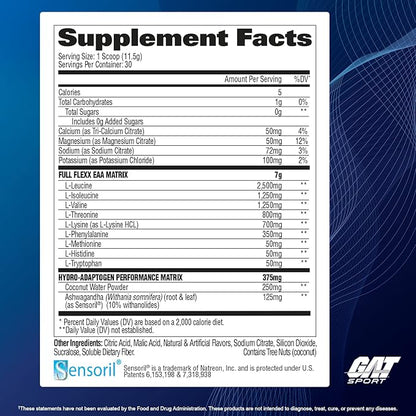 GAT SPORT Flexx EAAs + Hydration, Advanced Essential Amino Acids, 30 Servings (Fruit Punch)
